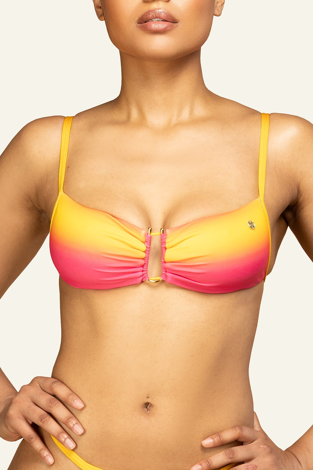 Mina Top Pink Ombre